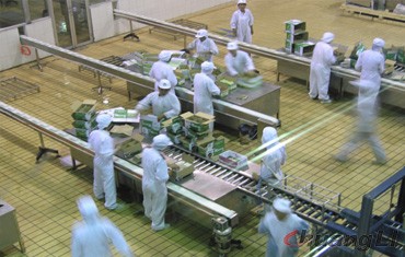 蒙牛乳業(yè)袋裝奶生產(chǎn)線(xiàn)（塑鋼板鏈輸送）